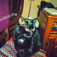 Photo #227962 de Tina