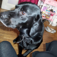 Photo #227967 de Aramis