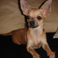 Photo #228054 de Deedee
