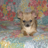 ma choupinette 