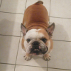 Mon bébé