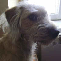 Photo #228131 de Elka