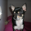 Photo_1052