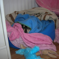 Photo_1108