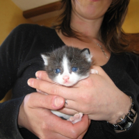 Photo #228239 de Moune