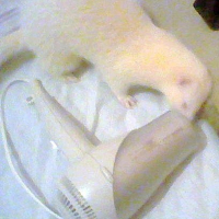 Photo #228243 de Abysse