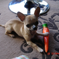 Photo #228274 de Cidney