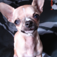 Photo #228277 de Cidney