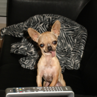 Photo #228280 de Cidney