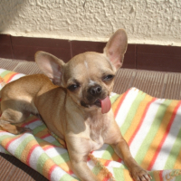 Photo #228282 de Cidney