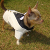 skippy bond 007 !