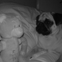 Photo #228434 de Kenza