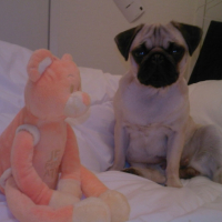 Photo #228436 de Kenza