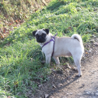 Photo #228441 de Kenza