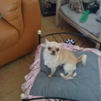 Photo #228481 de Gucci