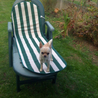 Photo #228484 de Gucci
