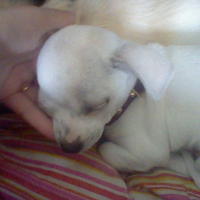 Photo #228491 de Elfi