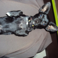 Photo #228554 de Elya