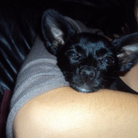 Photo #228556 de Elya