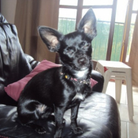 Photo #228557 de Elya
