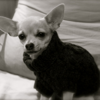 Photo #228593 de Edith