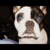 Photo #228686 de Lila