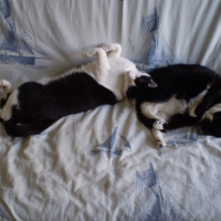 Photo #228729 de Kheops
