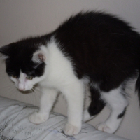 Photo #228733 de Kheops