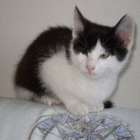 Photo #228734 de Kheops