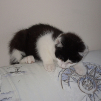 Photo #228738 de Kheops