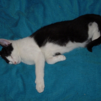 Photo #228739 de Kheops