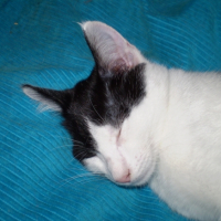Photo #228740 de Kheops