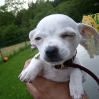 Photo #228747 de Elfi