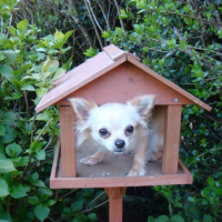 Photo #228752 de Cymba