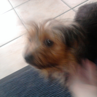Photo #228753 de Calice