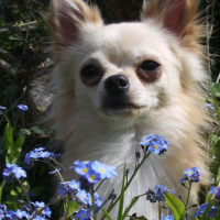 Photo #228756 de Cymba