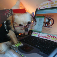 Photo #228757 de Cymba
