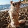 Fait le Beau ;P