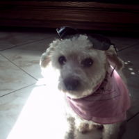 Photo #228779 de Obyone