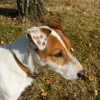DSCF0171
