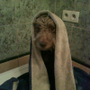 après un bon bain!!!!