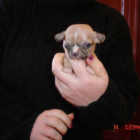 Photo #228910 de Cidney