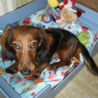 Photo #229024 de Titus