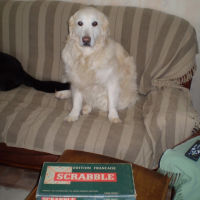 Photo #229026 de Inuit