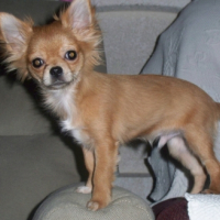 Photo #229036 de Aaron