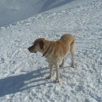 Photo #229039 de Venus