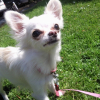 Photo0233