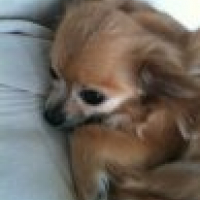 Photo #229138 de Athena