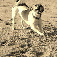 Photo #229151 de Maya