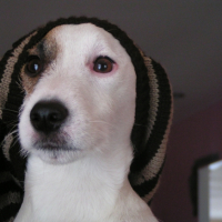 Photo #229188 de Doom